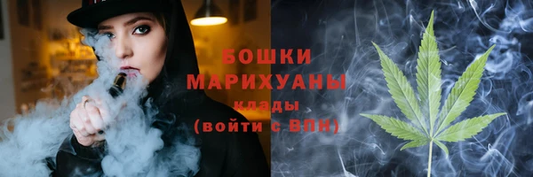 амф Арсеньев