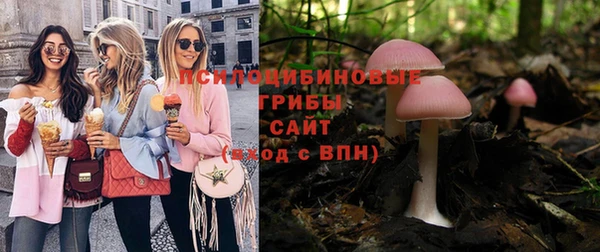 амф Арсеньев