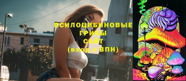 амф Арсеньев